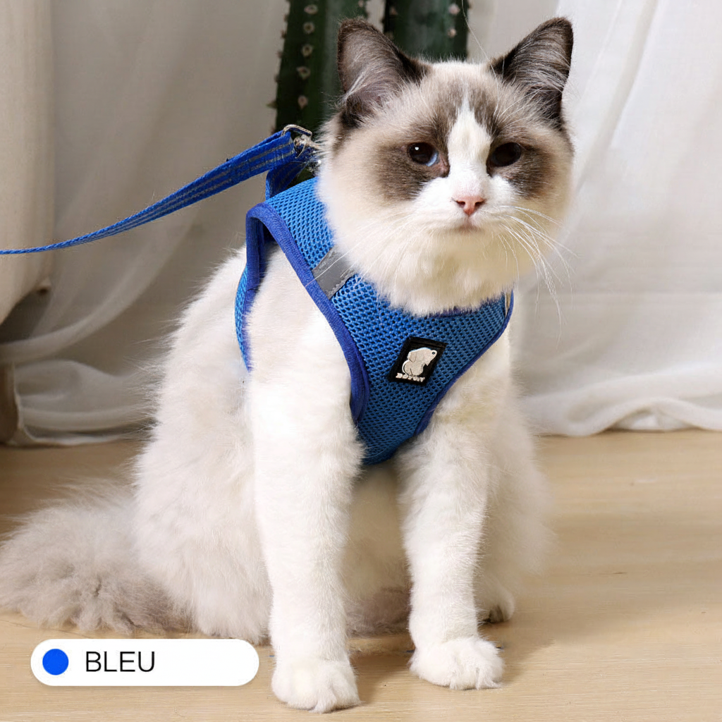 Bleu chat