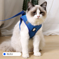 Bleu chat