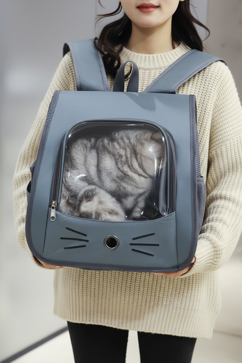 Femme française – sac bleu devant